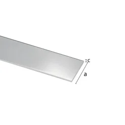Geen Plat profiel RVS 15x0.5x1000 mm