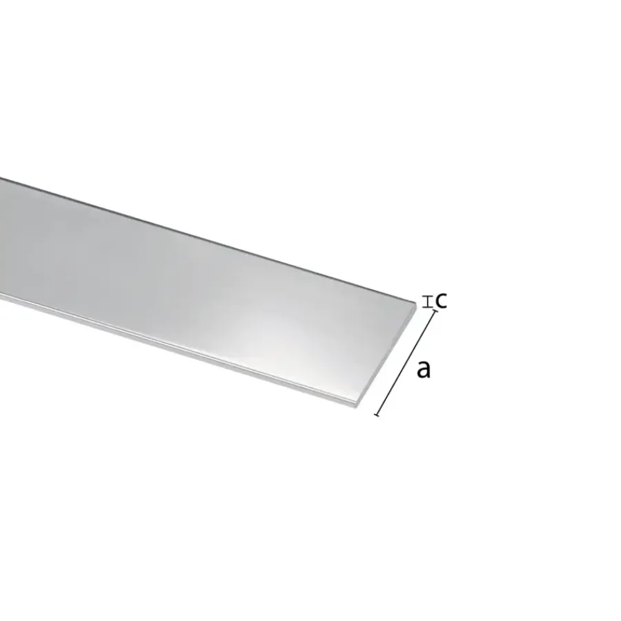 Geen Plat profiel RVS 15x0.5x1000 mm