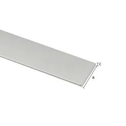 Geen Plat profiel zilver aluminium 20x2x2000 mm