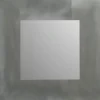 Plieger dual spiegel geborsteld aluminium 40 x 40 cm