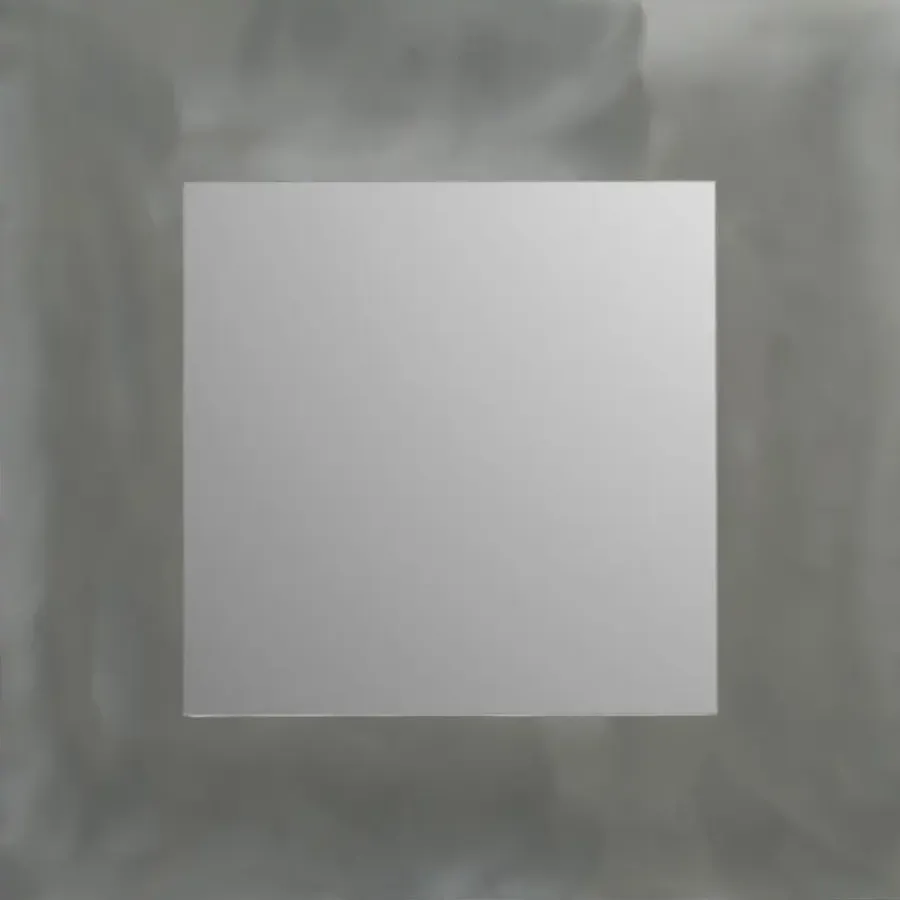 Plieger dual spiegel geborsteld aluminium 40 x 40 cm