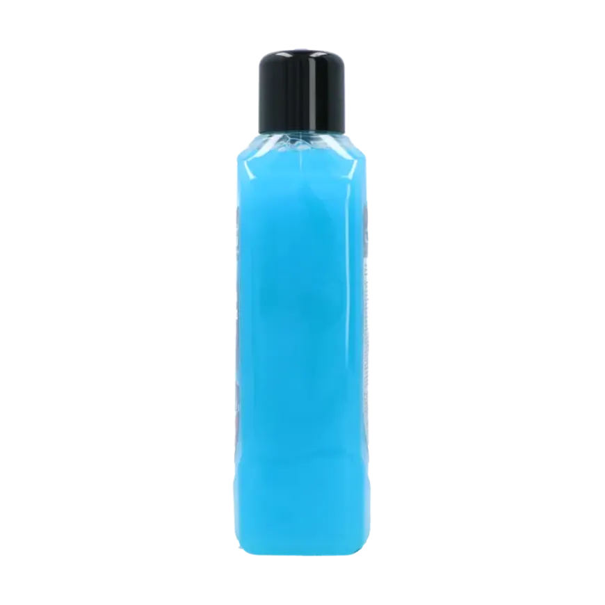 Protecton Auto Shampoo Wash & Wax 1L