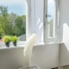 Eurom Raamafdichting 600 cm