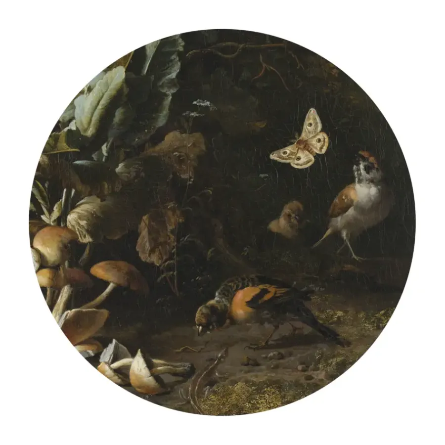 Art for the Home Ronde muursticker Nature (dessin 119177)