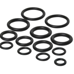 Sanivesk O-Ringen Assortiment 12 stuks