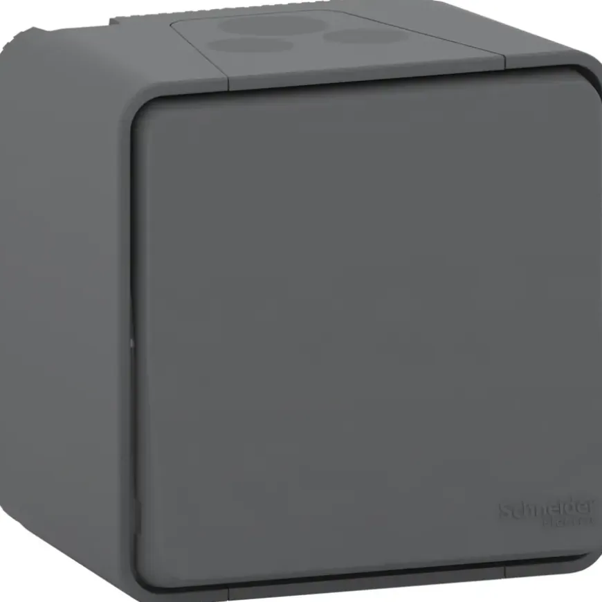 Schneider Electric Mureva Styl wisselschakelaar 2-polig IP55 antraciet
