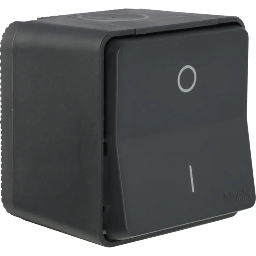 Schneider Electric Mureva Styl wisselschakelaar 2-polig IP55 antraciet