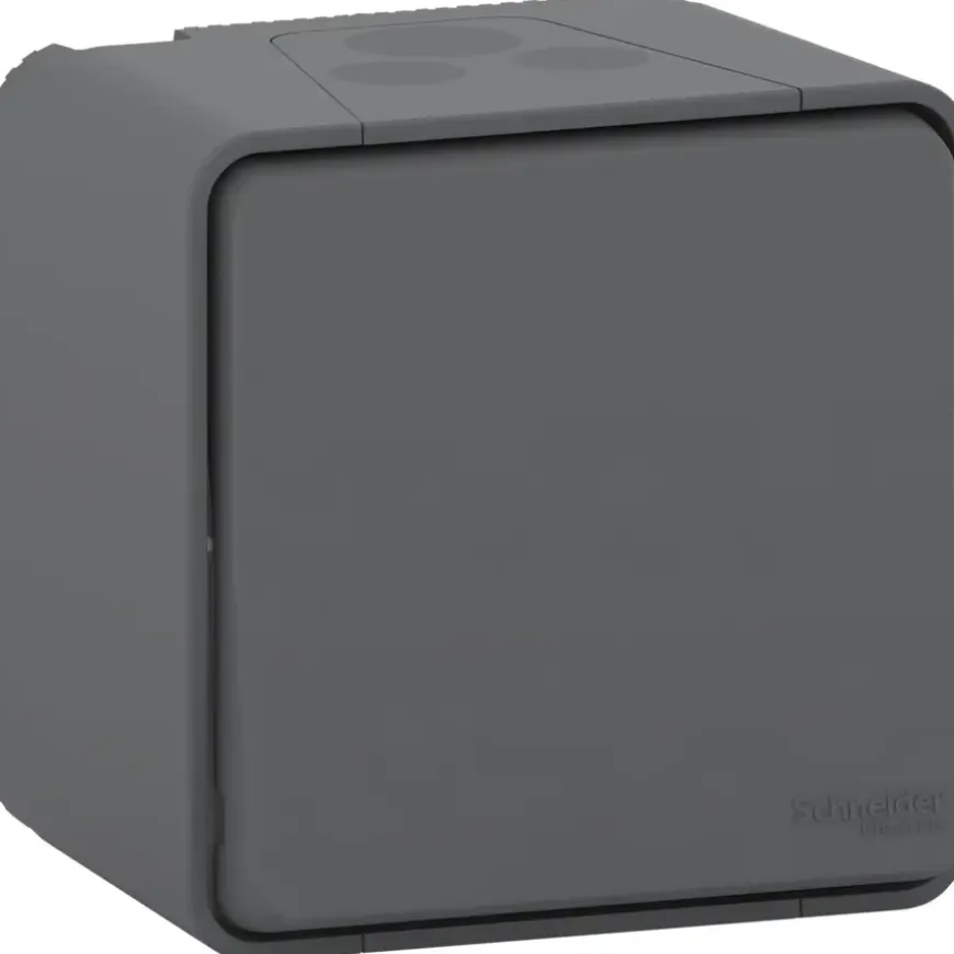 Schneider Electric Mureva Styl wisselschakelaar IP55 antraciet