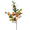 Emerald Sinaasappel fruit spray 80cm