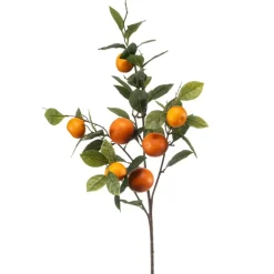 Emerald Sinaasappel fruit spray 80cm