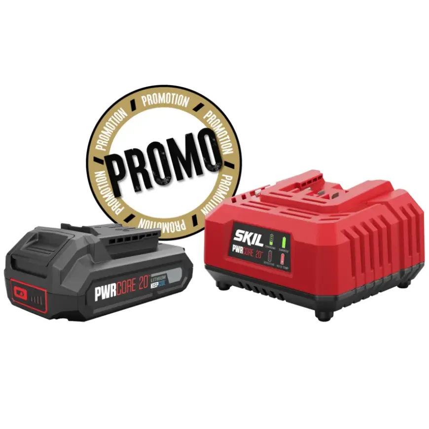 SKIL 20V accu 2.0Ah + snellader startset 3136AA
