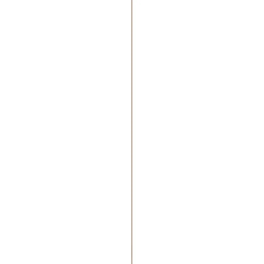 Storemax deurplaat eiken brons wit 255 x 101,5 cm 8 mm