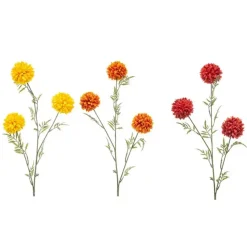 Emerald Tagetes spray mix 80cm