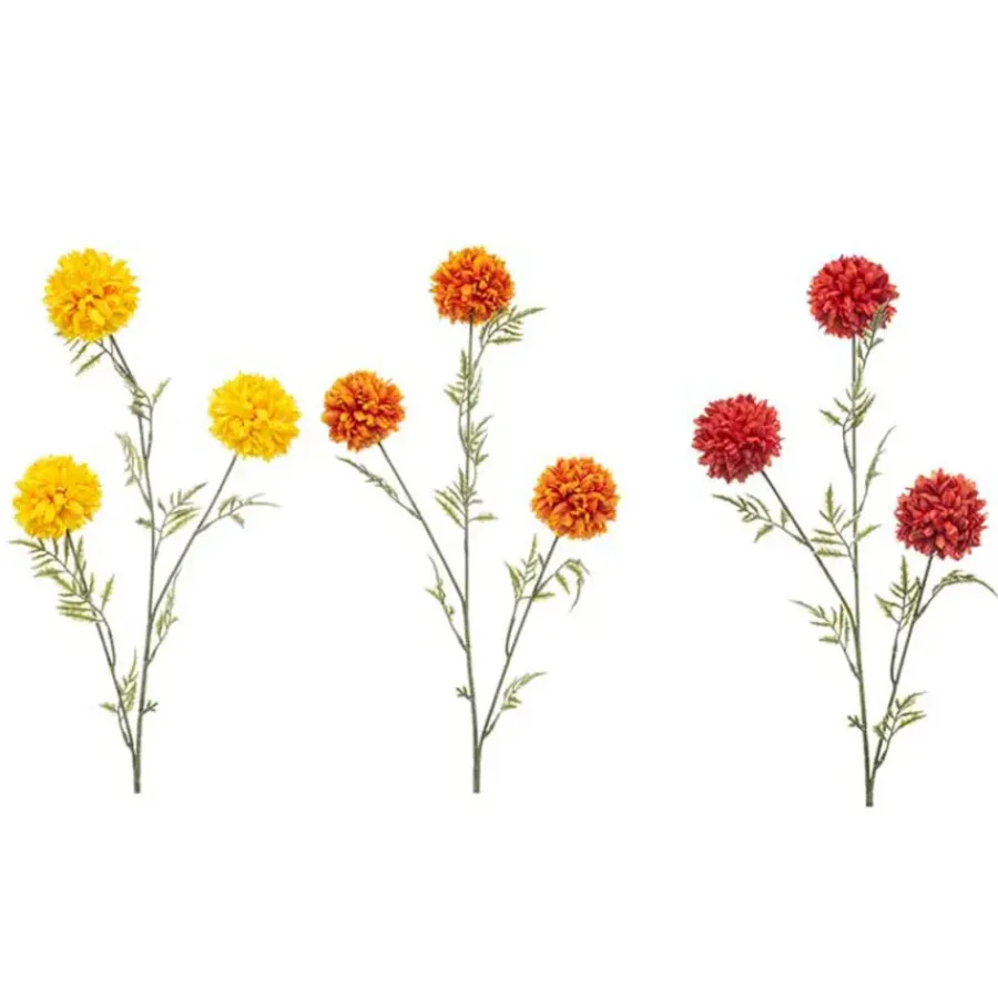 Emerald Tagetes spray mix 80cm
