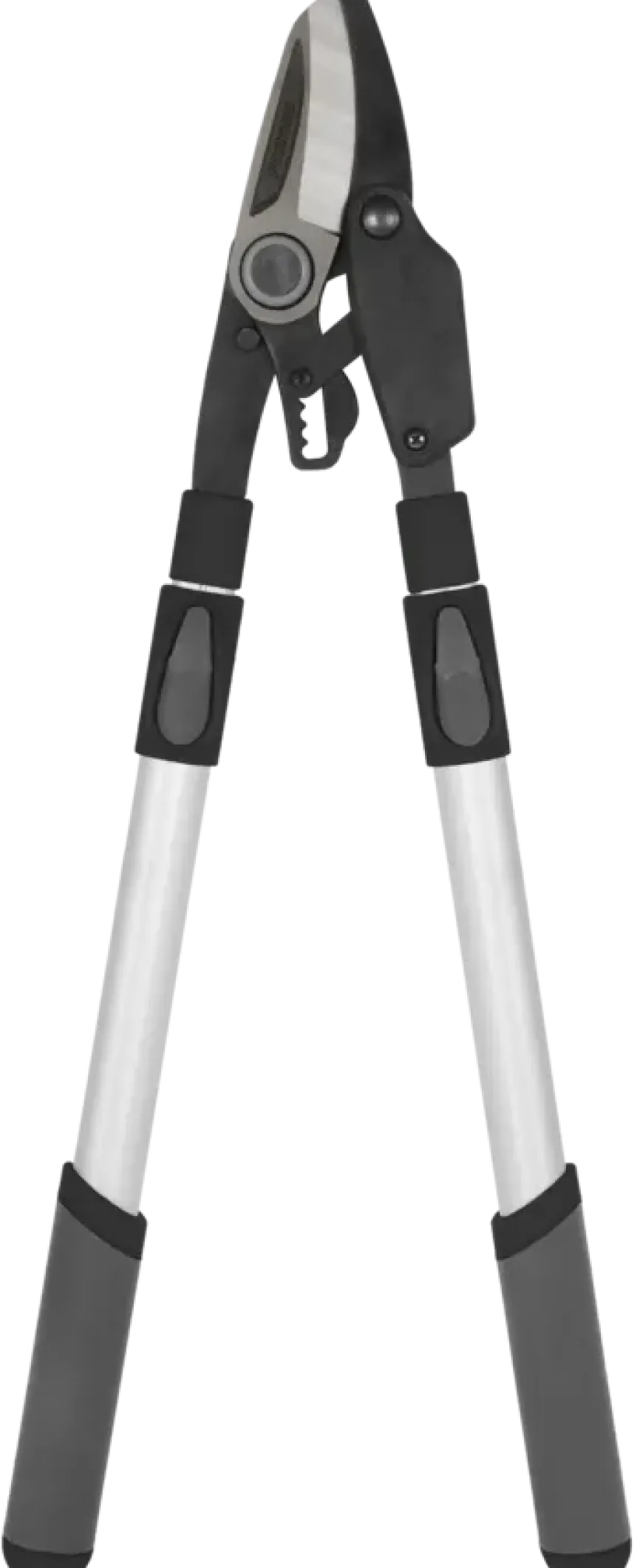 Takkenschaar telescopisch 50 - 82cm