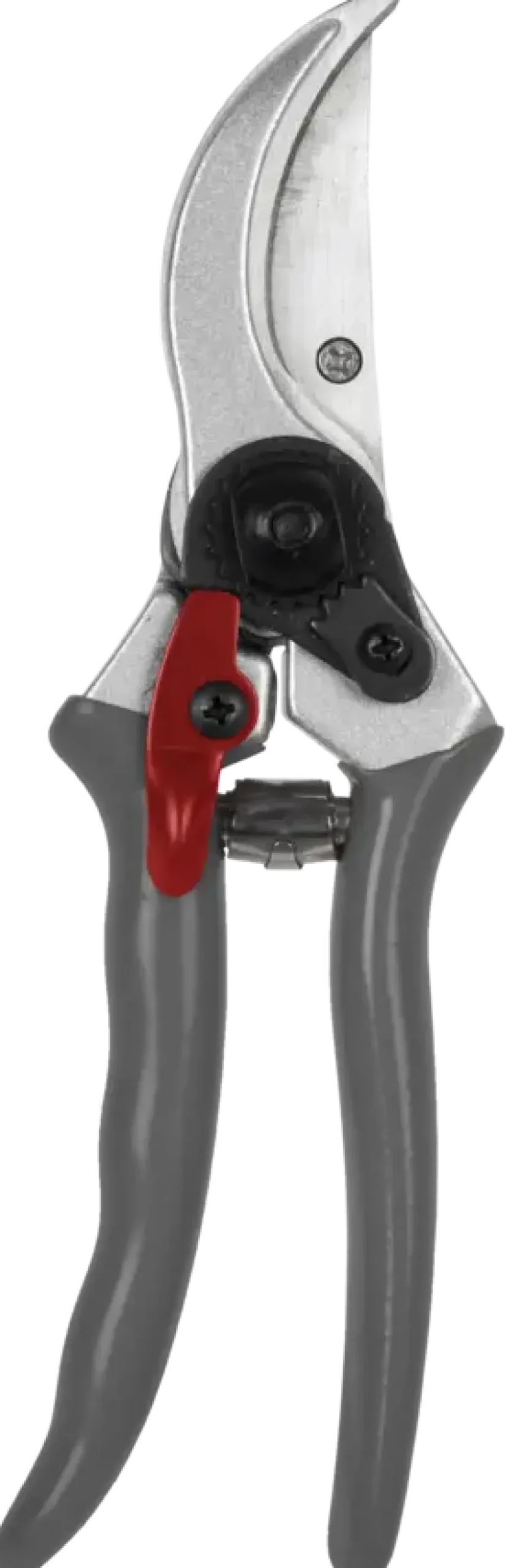 Talen Tools snoeischaar