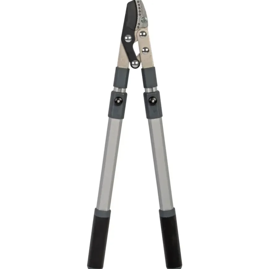 Talen Tools takkenschaar aambeeld telescopisch