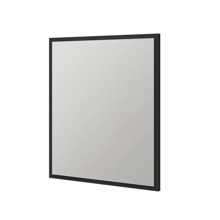 Tiger badkamerspiegel S-line rechthoek 60 x 70 cm met lijst mat zwart