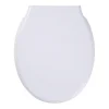 Tiger Burton wc bril verkort met softclose en quick release