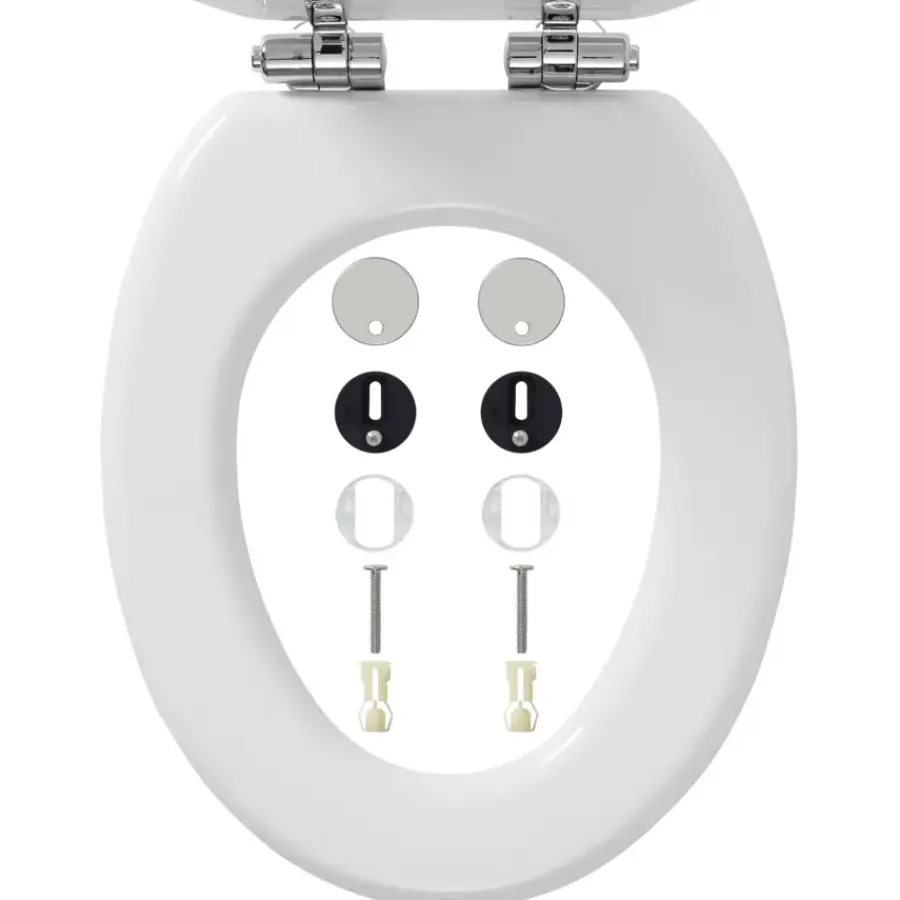 Tiger Mississippi wc bril wit met softclose en quick release