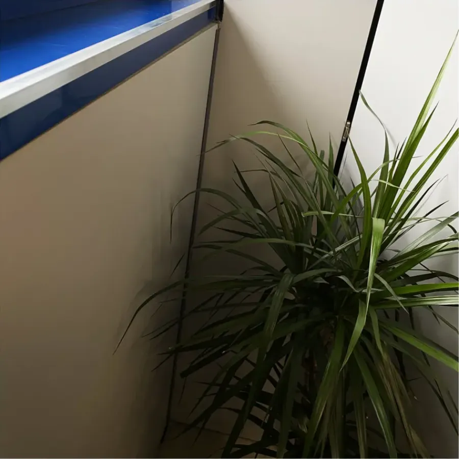 Geen T-Profiel aluminium brut 20x20x2000x1,5mm