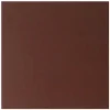 Geen Vloertegel Aveiro Brick Red 10x10 cm 1,0 m²