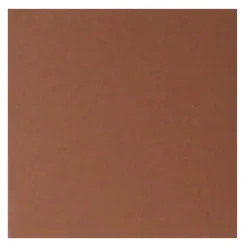 Geen Vloertegel Aveiro Caramel 10x10 cm 1,0 m²