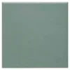 Geen Vloertegel Aveiro Green 15x15 cm 1,125 m²