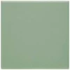 Geen Vloertegel Aveiro Light Green 10x10 cm 1,0 m²
