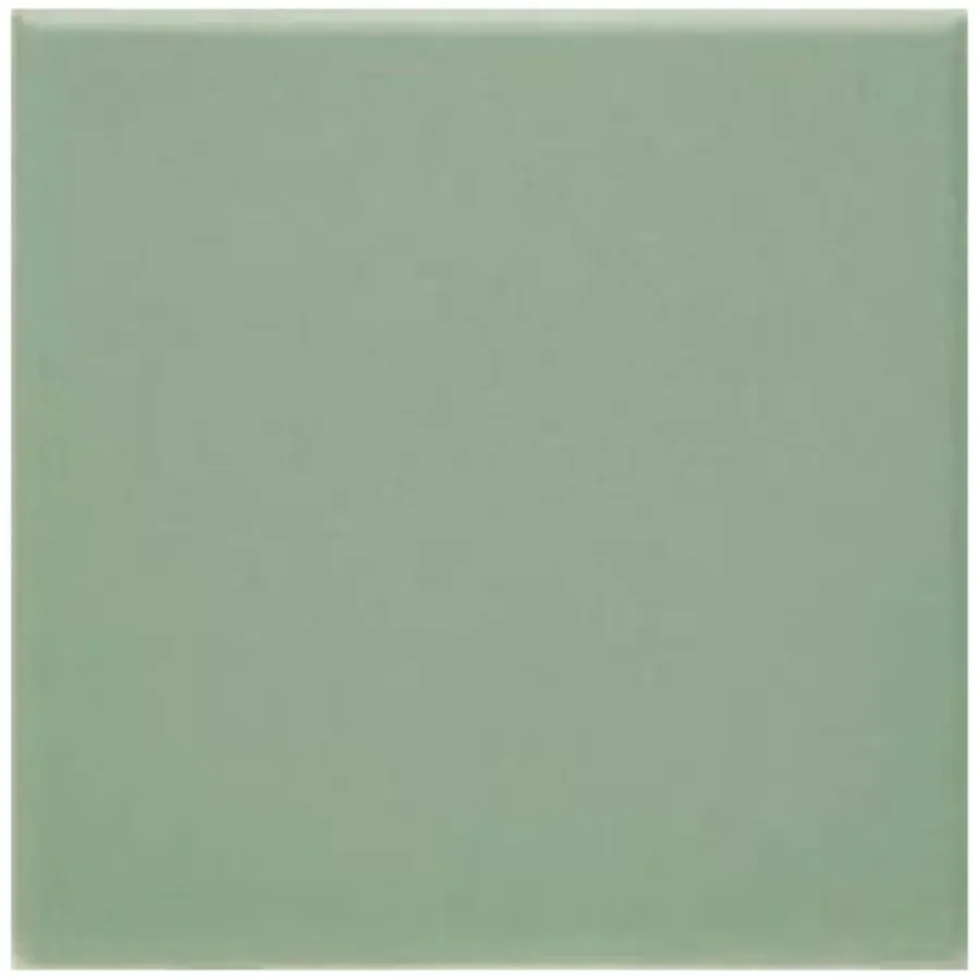 Geen Vloertegel Aveiro Light Green 10x10 cm 1,0 m²