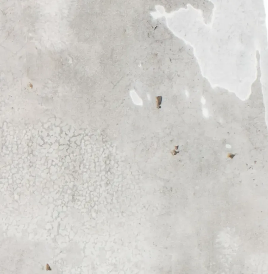 Geen Wandtegel Fermo 12,5 cm x 12,5 cm keramiek grijs 0,587 m²